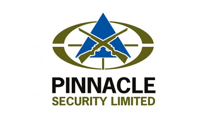 Pinnacle Security Logo